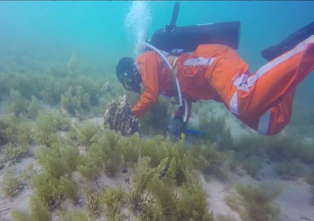 尊龙凯时人生就是搏·Z6(中国区)官方网站