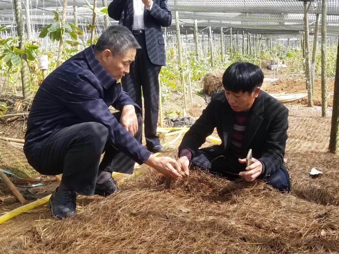 尊龙凯时人生就是搏·Z6(中国区)官方网站