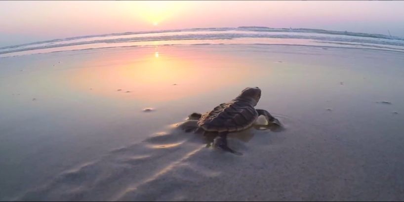 尊龙凯时人生就是搏·Z6(中国区)官方网站