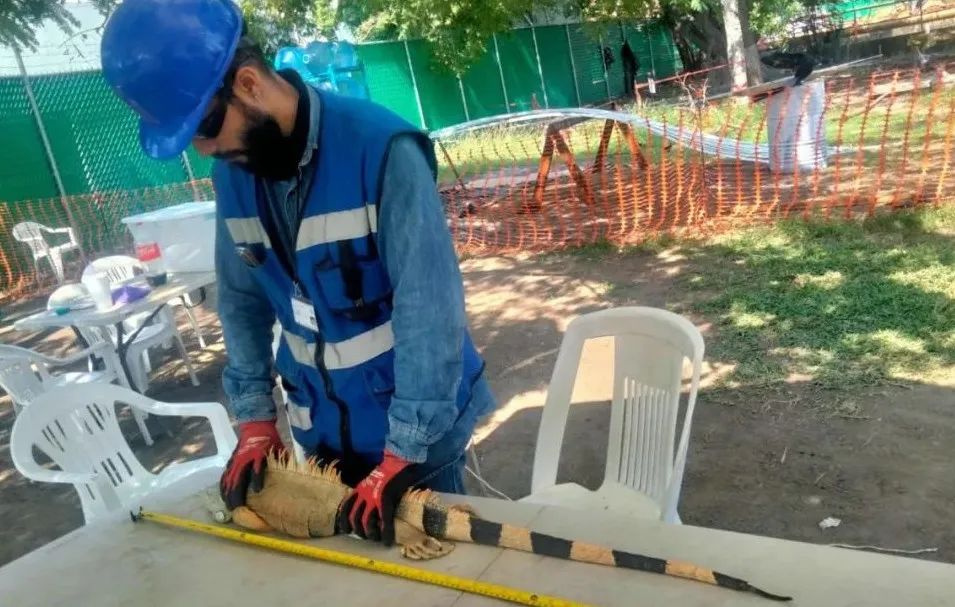 尊龙凯时人生就是搏·Z6(中国区)官方网站