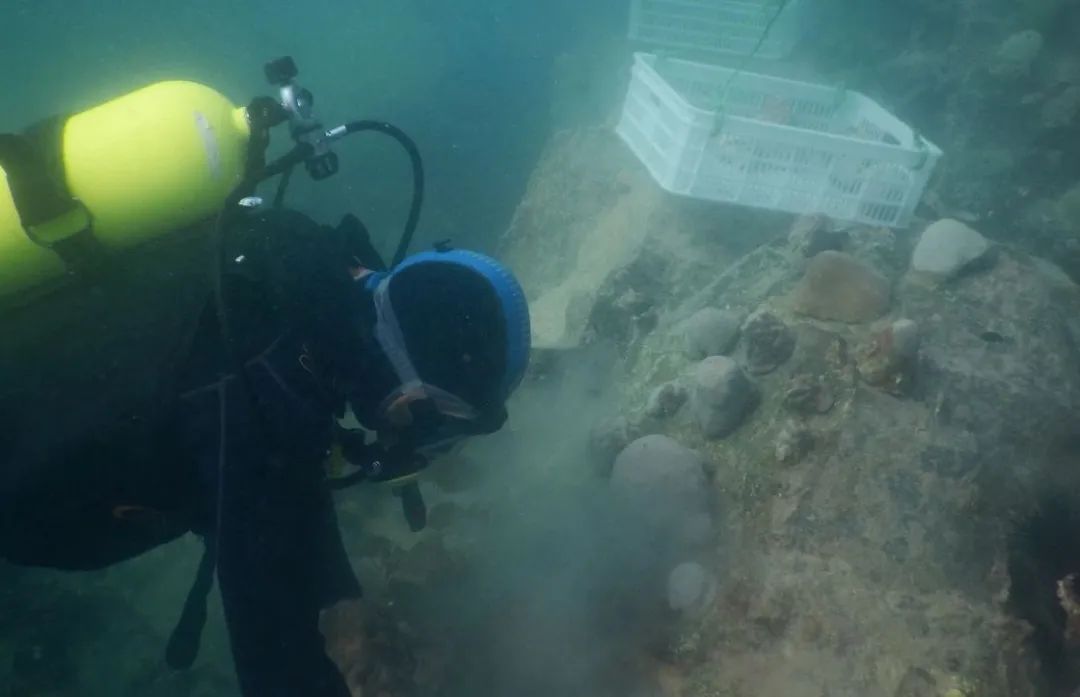 尊龙凯时人生就是搏·Z6(中国区)官方网站