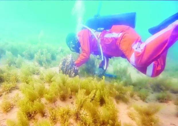 尊龙凯时人生就是搏·Z6(中国区)官方网站