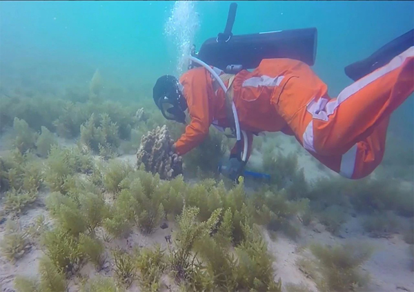 尊龙凯时人生就是搏·Z6(中国区)官方网站