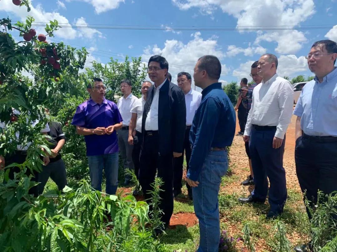 尊龙凯时人生就是搏·Z6(中国区)官方网站