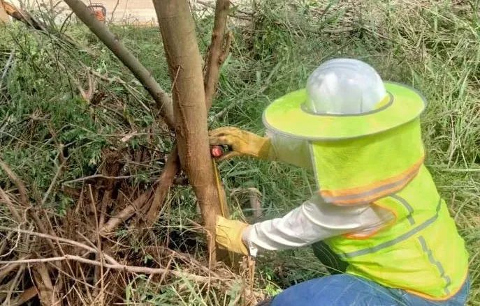 尊龙凯时人生就是搏·Z6(中国区)官方网站