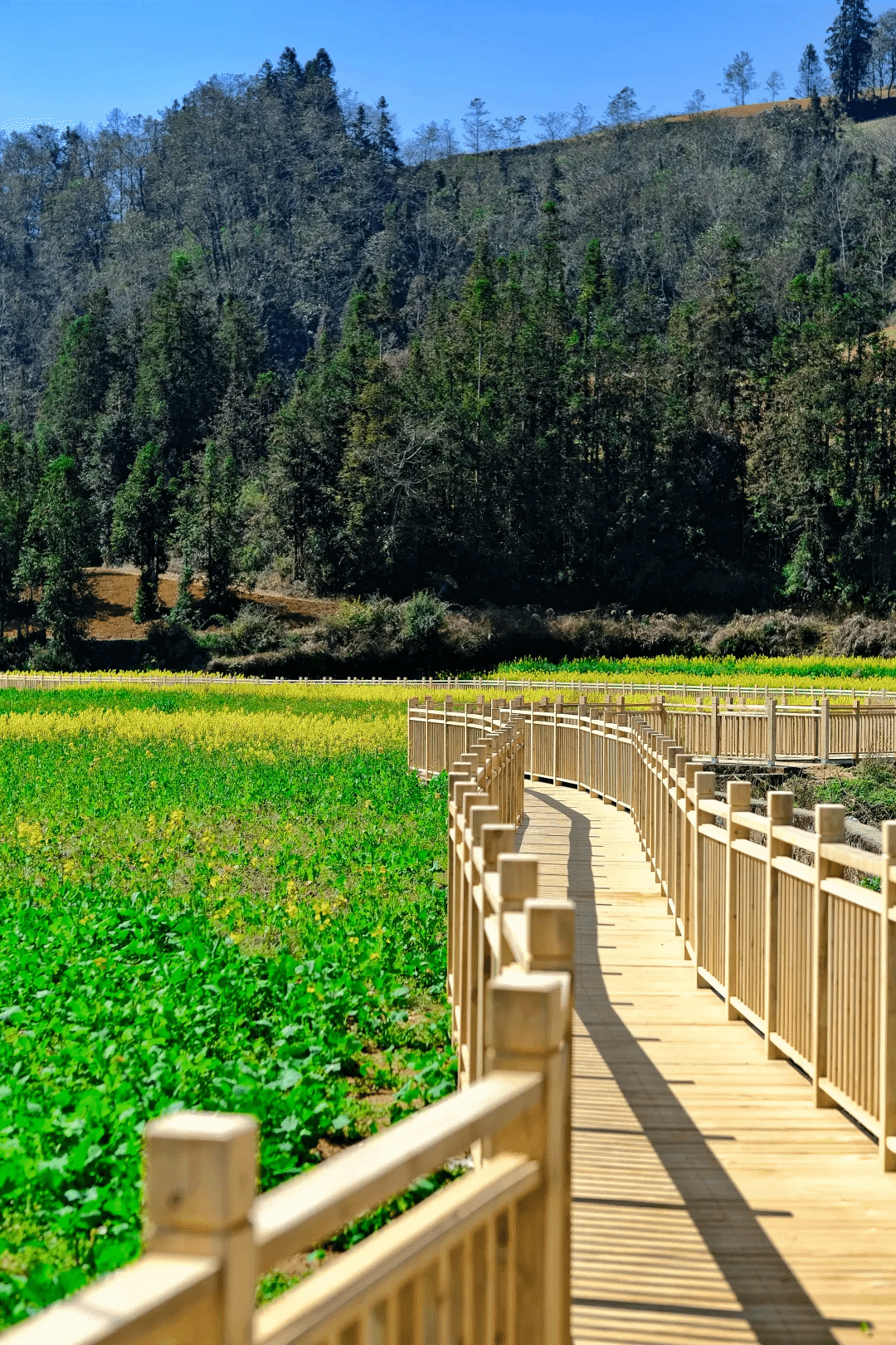 尊龙凯时人生就是搏·Z6(中国区)官方网站