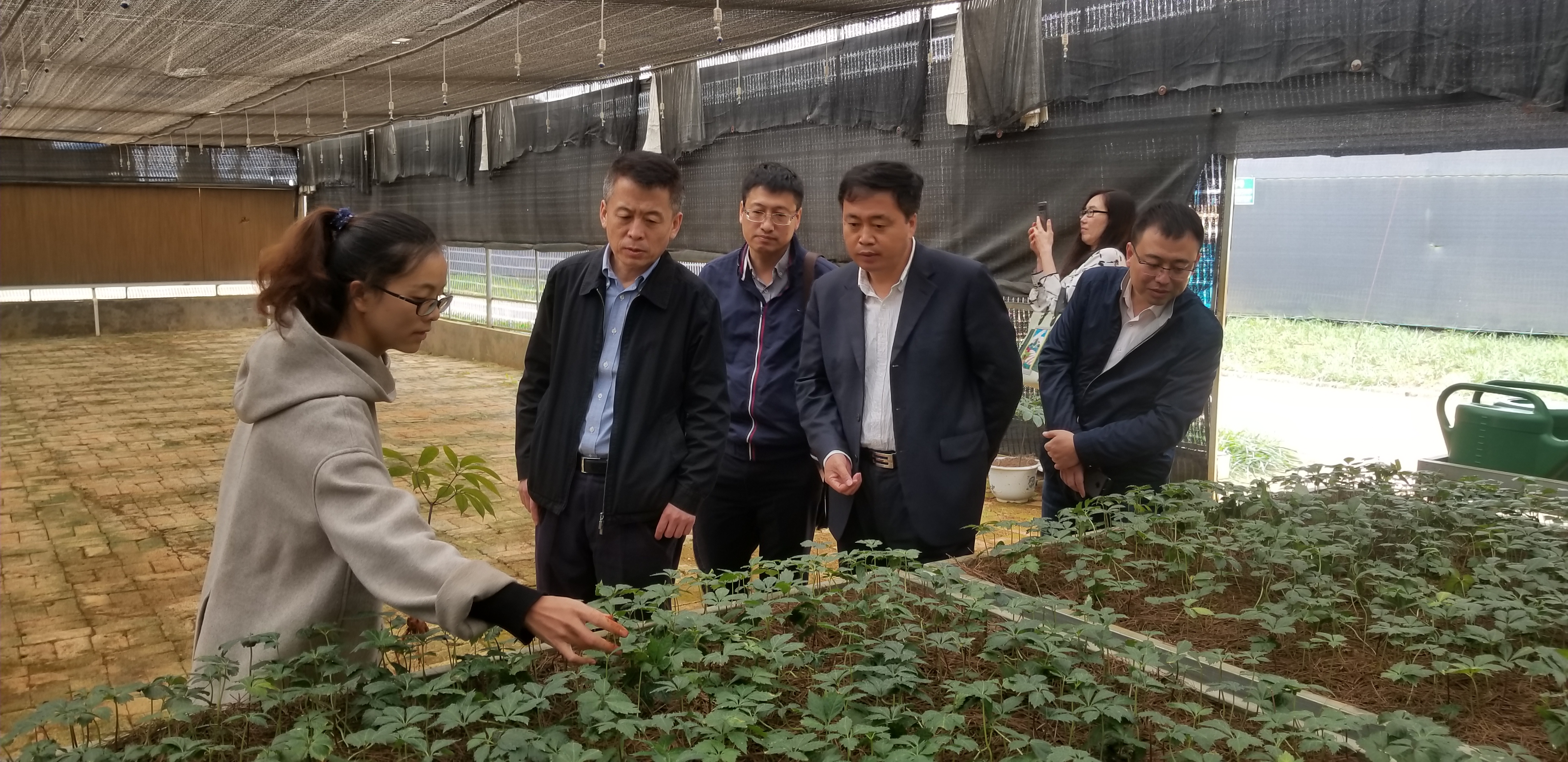 尊龙凯时人生就是搏·Z6(中国区)官方网站