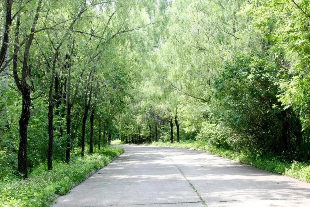 尊龙凯时人生就是搏·Z6(中国区)官方网站