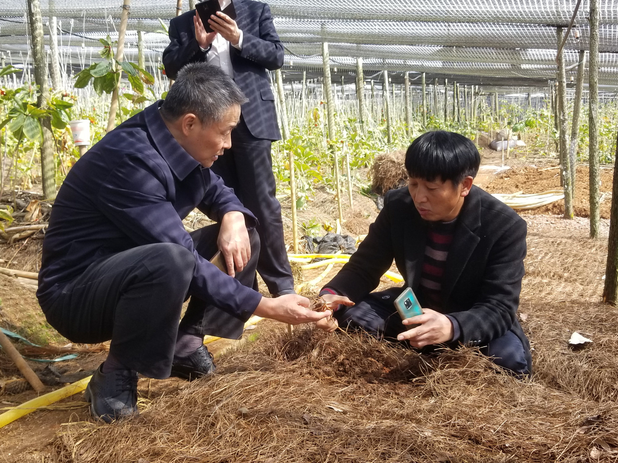 尊龙凯时人生就是搏·Z6(中国区)官方网站