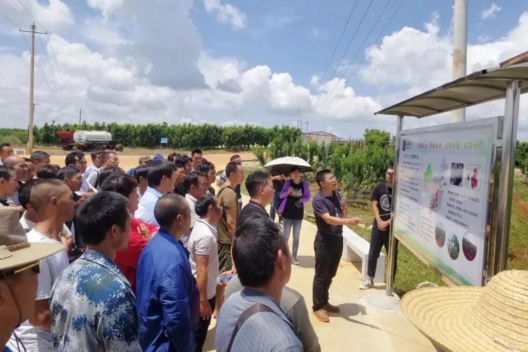 尊龙凯时人生就是搏·Z6(中国区)官方网站