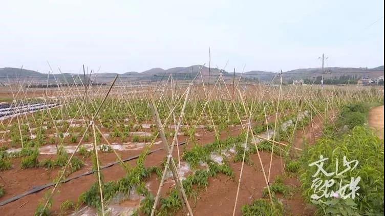 尊龙凯时人生就是搏·Z6(中国区)官方网站