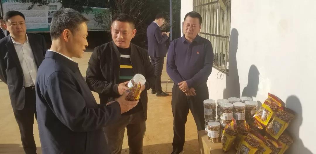 尊龙凯时人生就是搏·Z6(中国区)官方网站