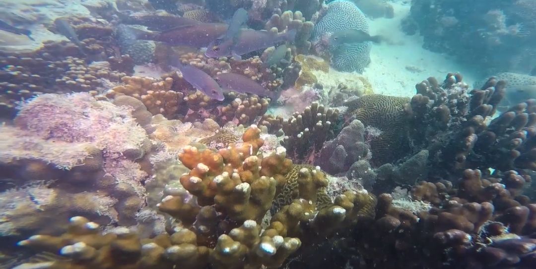 尊龙凯时人生就是搏·Z6(中国区)官方网站