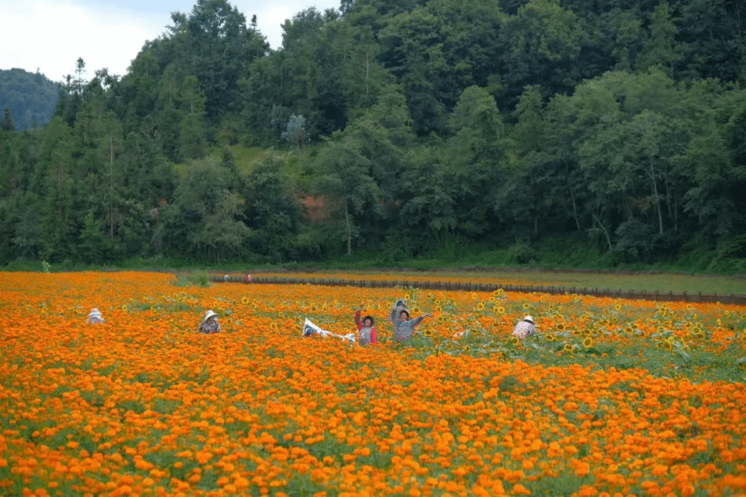 尊龙凯时人生就是搏·Z6(中国区)官方网站