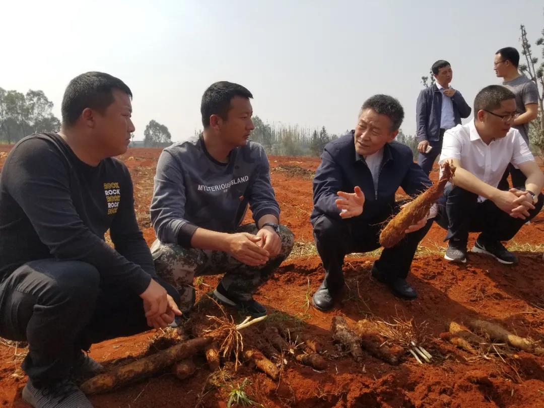 尊龙凯时人生就是搏·Z6(中国区)官方网站