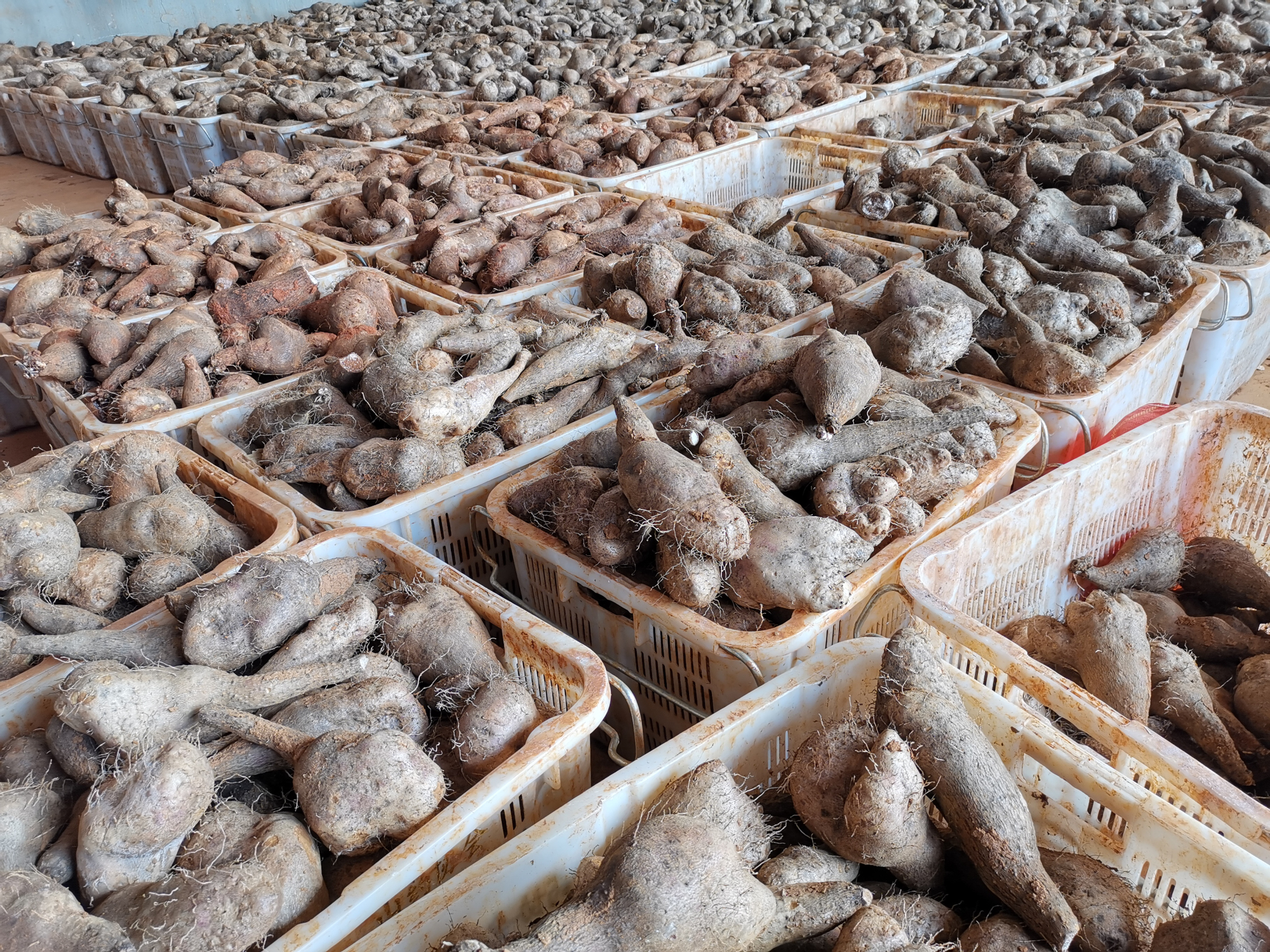 尊龙凯时人生就是搏·Z6(中国区)官方网站