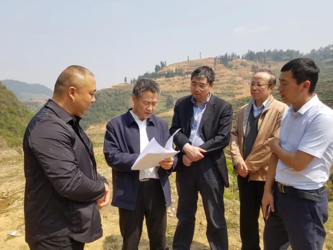 尊龙凯时人生就是搏·Z6(中国区)官方网站