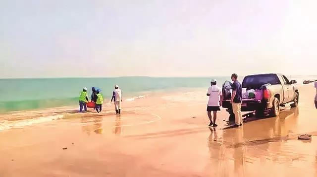 尊龙凯时人生就是搏·Z6(中国区)官方网站